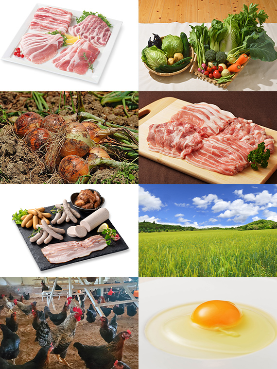 多くの食材が一度に揃う