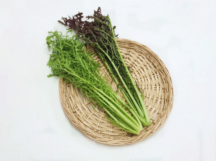 農薬不使用 サラダからし菜150g 館ヶ森高原産の農薬不使用で栽培したサラダからし菜 館ヶ森アーク牧場 ネットショップ 農薬不使用 サラダからし菜150g 館ヶ森高原産の農薬不使用で栽培したサラダからし菜 館ヶ森アーク牧場 ネットショップ