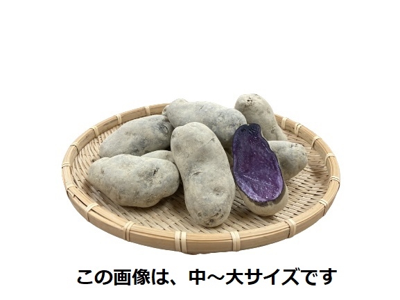 館ヶ森高原 シャドークイーン 館ヶ森高原産の農薬不使用栽培のじゃがいもシャドークイーン 館ヶ森アーク牧場 ネットショップ