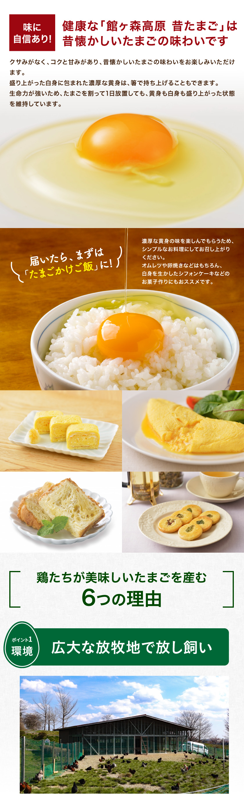 環境