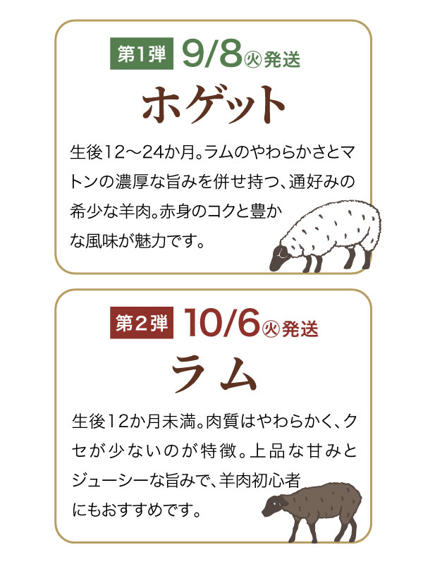 ホゲットとラムの特徴。ホゲットは9月8日発送。ラムは10月6日発送。